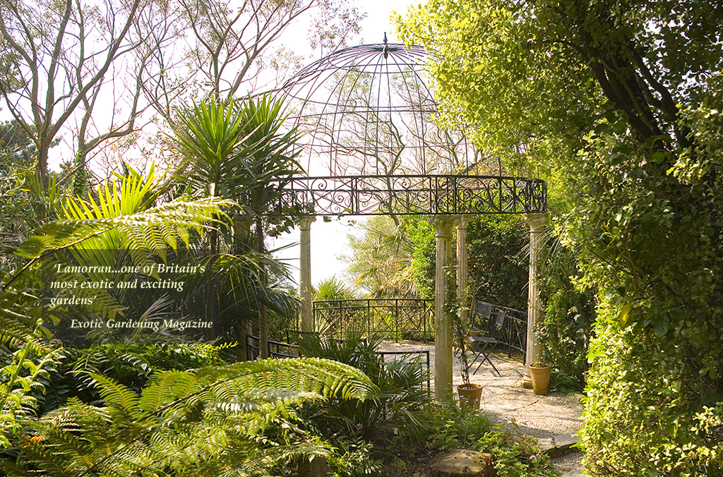 Garden image