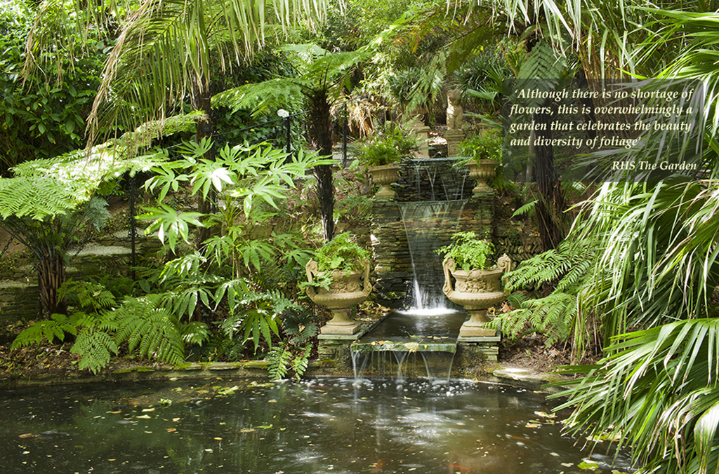 Garden image
