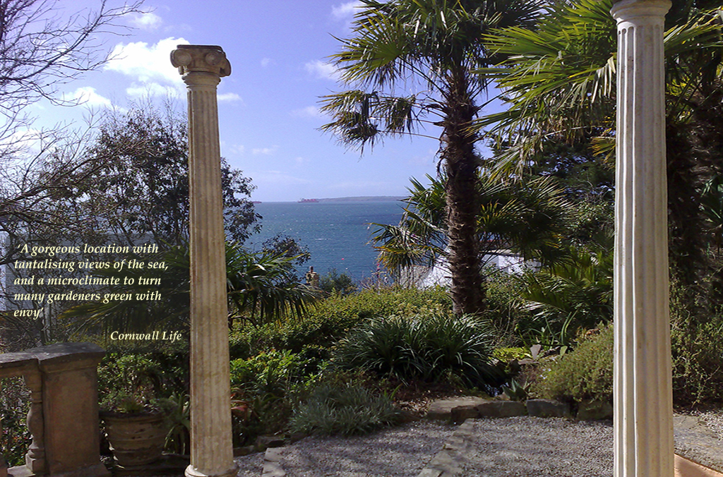 Garden image