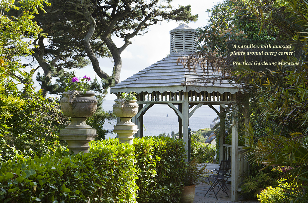 Garden image