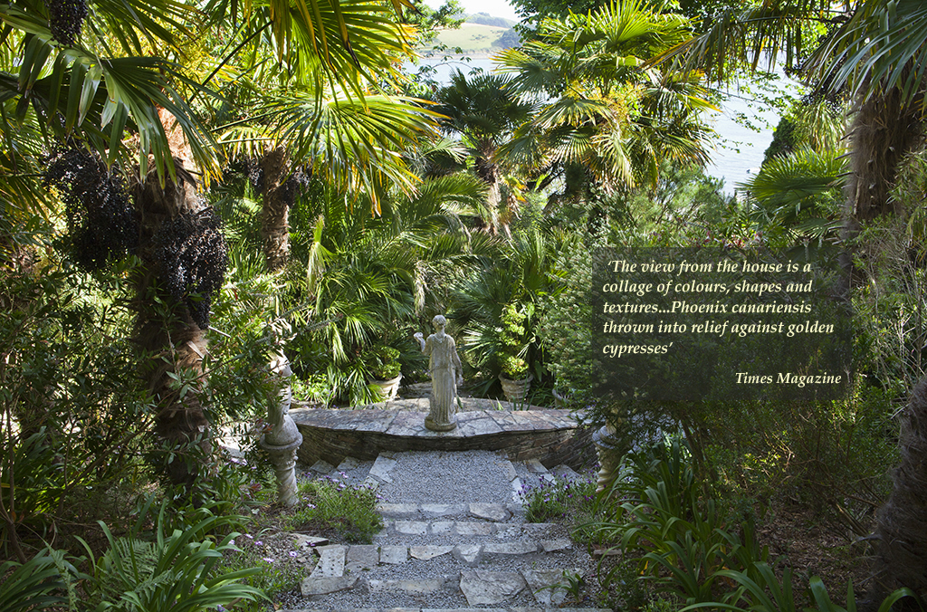 Garden image
